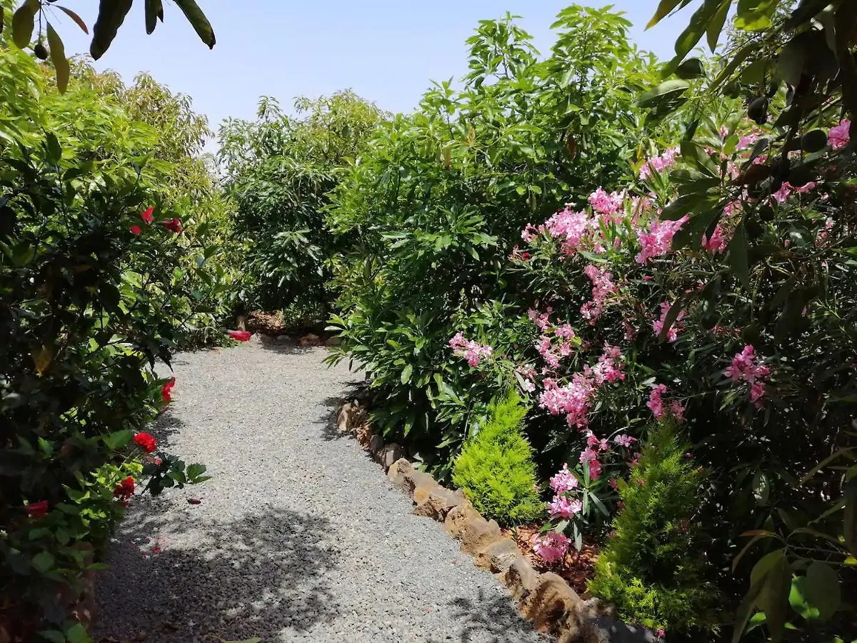Cottage Bougainville La Orotava Spanien