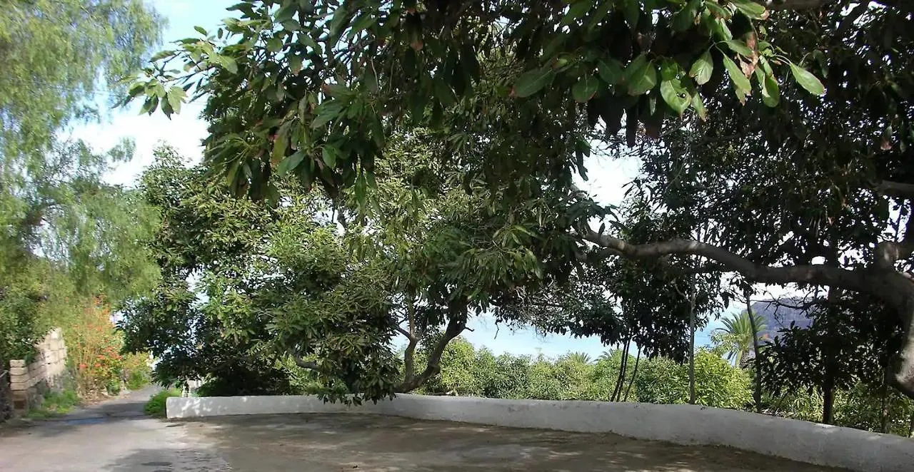 Cottage Bougainville La Orotava Semesterbostad