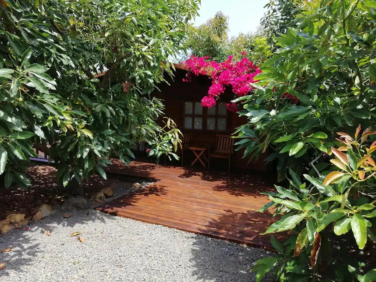 Cottage Bougainville La Orotava