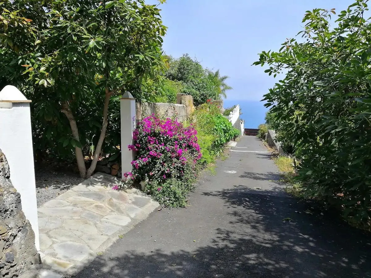 Cottage Bougainville La Orotava 0*,